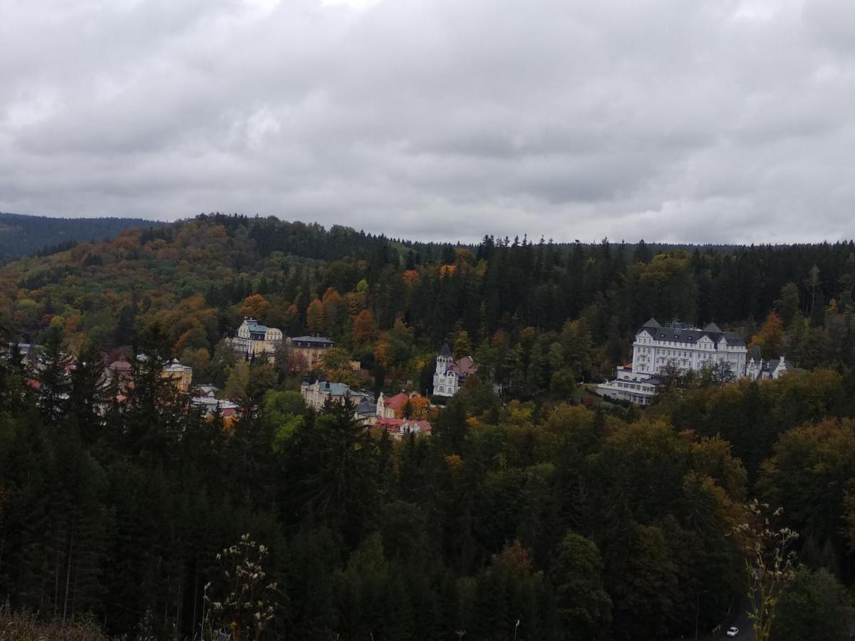 Апартаменты Apartman Friedrichsruh Марианске-Лазне Экстерьер фото