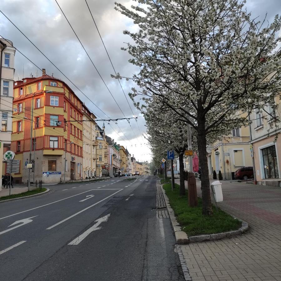 Апартаменты Apartman Friedrichsruh Марианске-Лазне Экстерьер фото