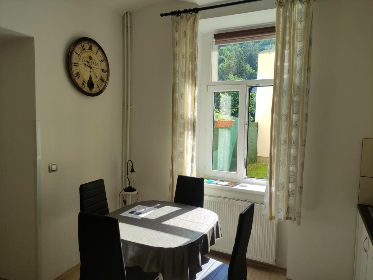 Апартаменты Apartman Friedrichsruh Марианске-Лазне Экстерьер фото